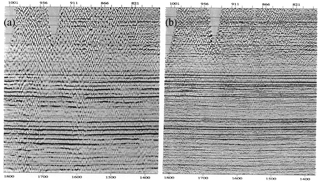 seismic processing