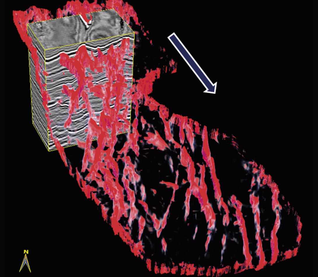 seismac discontinuity