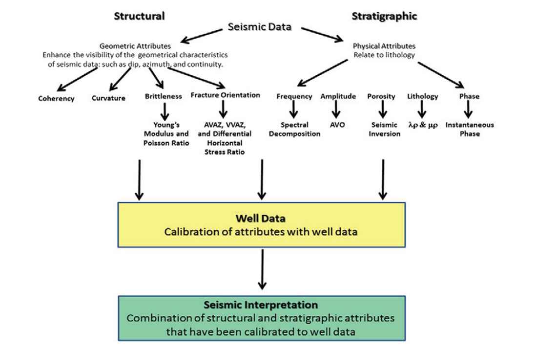 Other important. Seismic data processing. Seismic attribute classification. Salt structure Seismic interpretation. Education in Seismic.