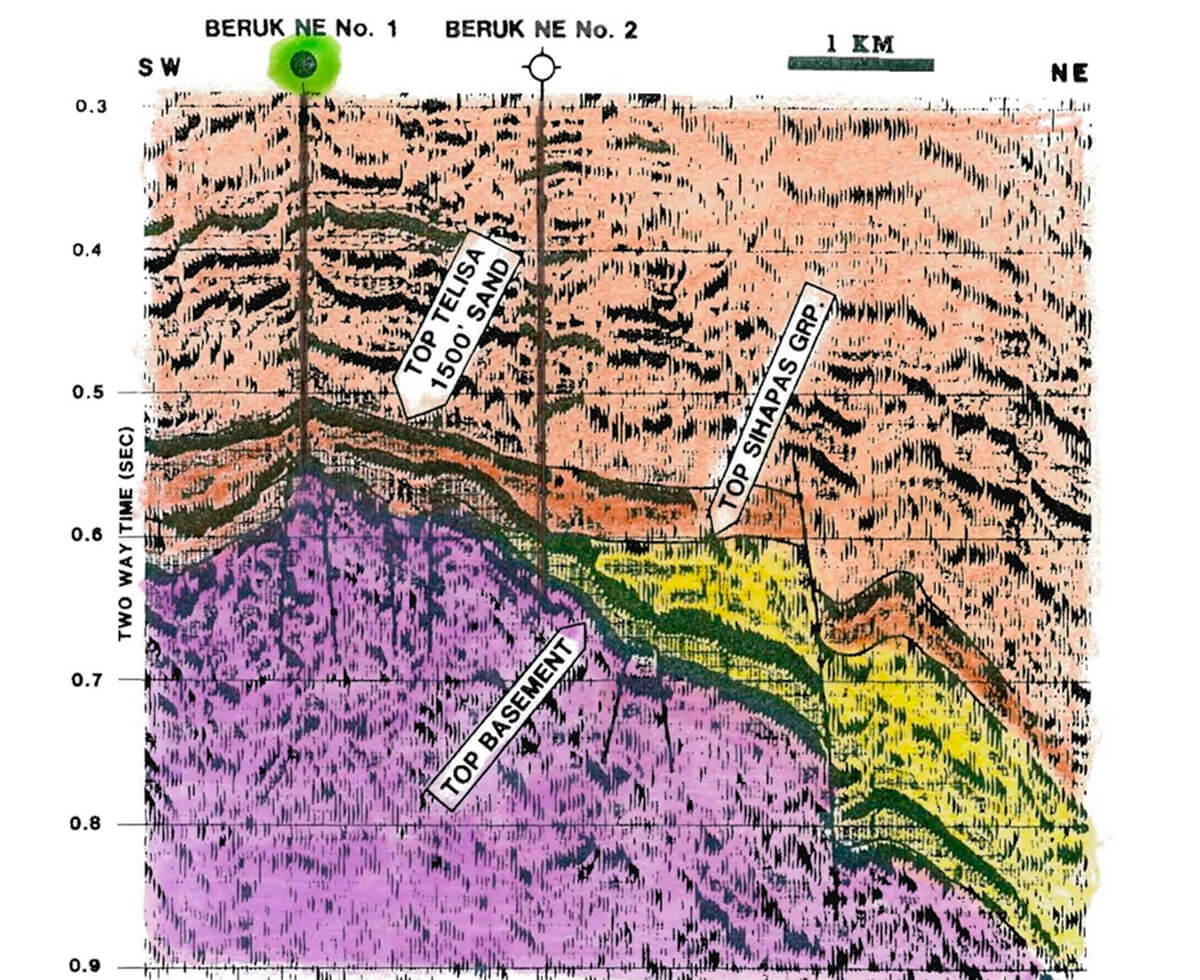 Rang Dong Oil Field, Cuu Long Basin - Offshore Technology