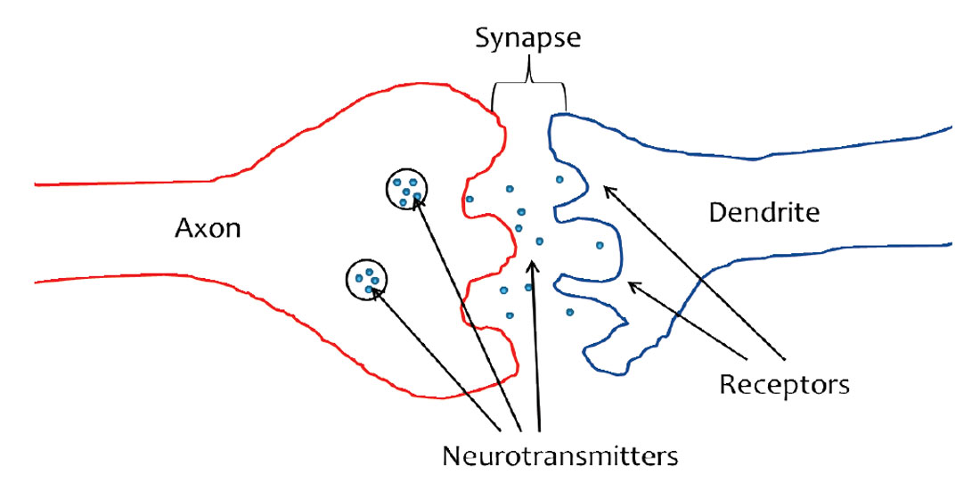 Fig. 01